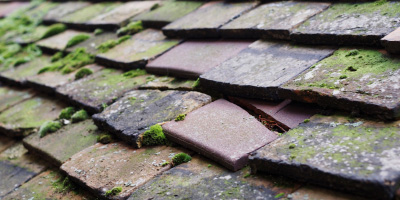Terrick roof repair costs